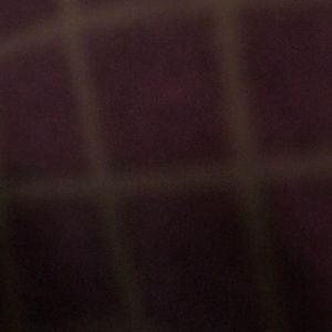 Meet your Posher, Jayleen